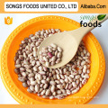 Clean And Healthy Light Speckled Kidney Beans Oval Shape